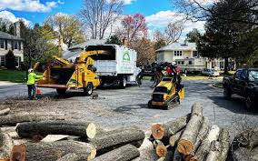 Mulching Services in Northvale, NJ